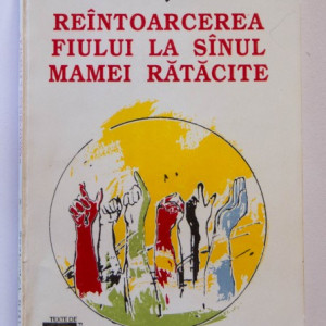 Dumitru Tepeneag - Reintoarcerea fiului la sanul mamei ratacite