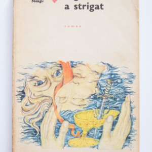 Fanus Neagu - Ingerul a strigat
