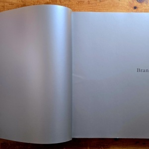 Friedrich Teja Bach, Margit Rowell, Ann Temkin - Constantin Brancusi (1876-1957) (exhibition catalog, Philadelphia Museum of Art, October 8 - December 31, 1995) - Img 3