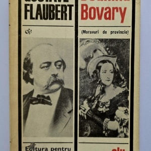 Gustave Flaubert - Doamna Bovary