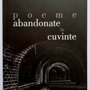 Ioan F. Pop - Poeme abandonate in cuvinte