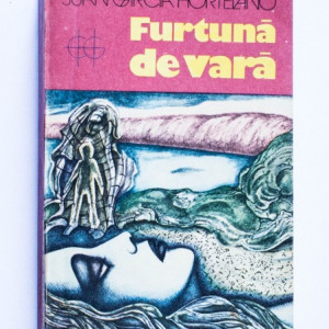 Juan Garcia Hortelano - Furtuna de vara