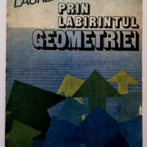 Laurentiu Duican - Prin labirintul geometriei