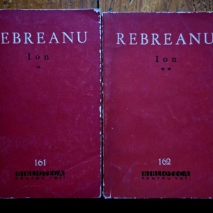Liviu Rebreanu - Ion (2 vol.)