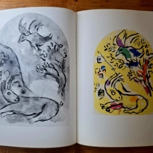 Marc Chagall - Glasmalereien fur Jerusalem (editie hardcover) - Img 6