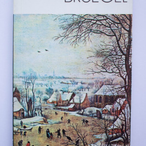 Michal Walicki - Bruegel