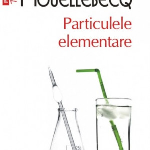 Michel Houellebecq - Particulele elementare