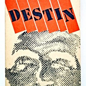Piotr Proskurin - Destin (cartea a doua)