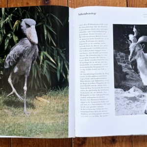Prof. Dr. Wolfgang Ullrich, Erich und Isabella Tylinek - Seltene Tiere stellen sich vor (editie hardcover, in limba germana) - Img 4