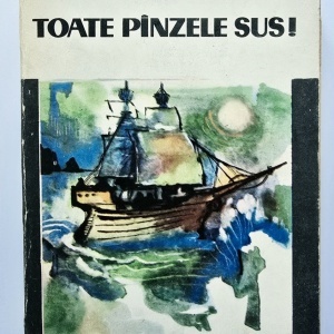Radu Tudoran - Toate panzele sus!