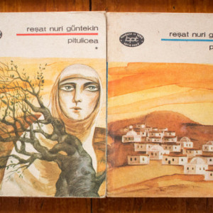 Resat Nuri Guntekin - Pitulicea (2 vol.)