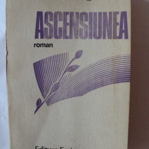 Stefan Dorgosan - Ascensiunea