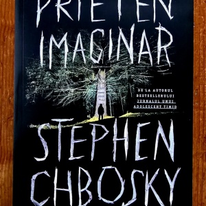 Stephen Chboksy - Prieten imaginar