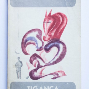 Vasile Rebreanu - Tiganca alba