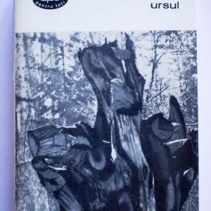 William Faulkner - Ursul (nuvele)