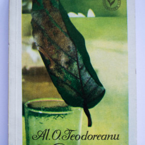 Al. O. Teodoreanu - Versuri