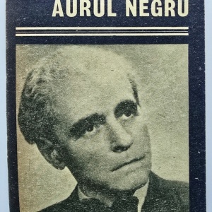 Cezar Petrescu - Aurul negru