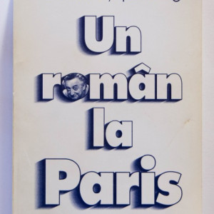 Dumitru Tepeneag - Un roman la Paris