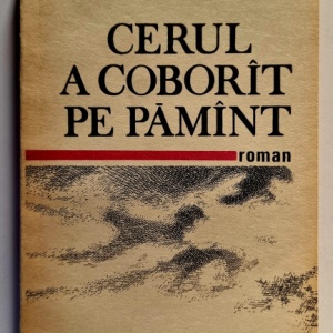 Elena Gronov-Marinescu - Cerul a coborat pe pamant
