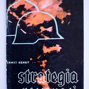 Ernst Henry - Strategia revansei