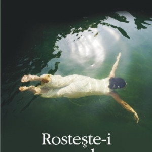 Francisco Goldman - Rosteste-i numele
