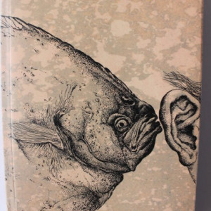 Gunter Grass - Calcanul