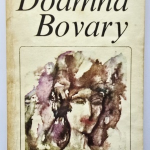 Gustave Flaubert - Doamna Bovary