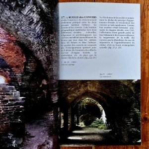 Henry Gilles - Abbaye Notre-Dame de Villers en Brabant - Img 3