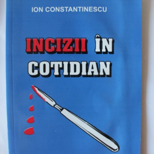 Ion Constantinescu - Incizii in cotidian