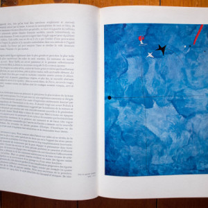 Jacques Dupin - Joan Miro (editie hardcover) - Img 2