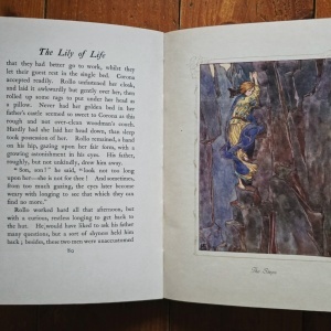 Marie, The Crown Princess of Roumania - The Lily of Life: A Fairy Tale (editie hardcover) - Img 10