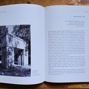 Matei Stircea-Craciun - Brancusi. Limbajele materiei (editie hardcover) - Img 6