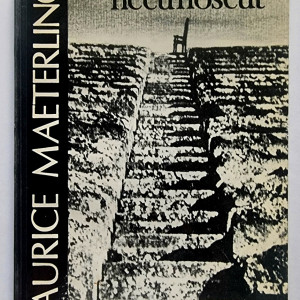 Maurice Maeterlinck - Oaspetele necunoscut