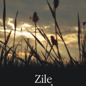 Michael Cunningham - Zile exemplare