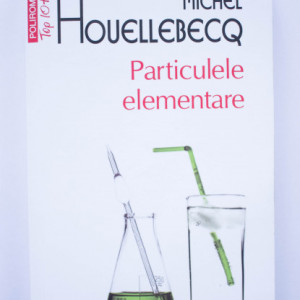 Michel Houellebecq - Particulele elementare