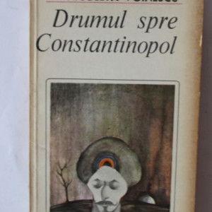 Nicoleta Voinescu - Drumul spre Constantinopol
