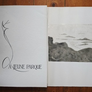Paul Valery - Le Jeune Parque. Lithographies de Marianne Clouzot (editie bibliofila, in etui special) - Img 2