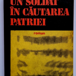 Petru Vintila - Un soldat in cautarea patriei