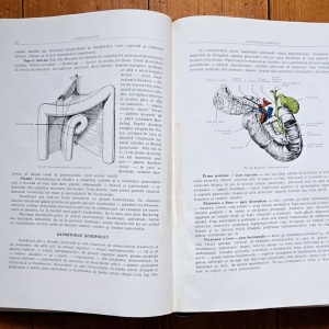 Prof. Z. Iagnov, Prof. E. Repciuc, Prof. G. Russu - Anatomia omului. Viscere (editie hardcover) - Img 4