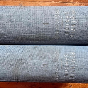 Remenyik Sandor - Osszes versei (2 vol., editie hardcover)