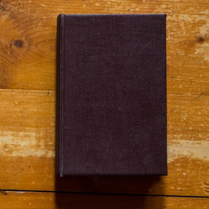 Sinclair Lewis - Hotelul fericitilor (editie hardcover, interbelica, frumos relegata) - Img 2