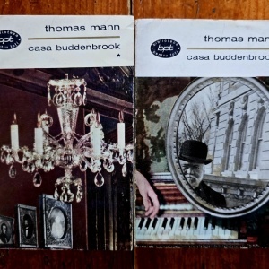 Thomas Mann - Casa Buddenbrook (2 vol.)