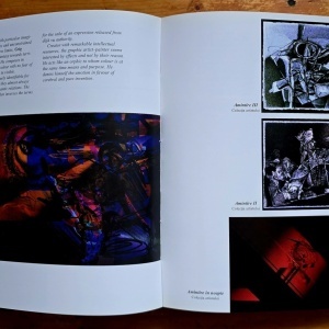 Valentin Ciuca - Un secol de arte frumoase la Iasi (editie bilingva, hardcover, in etui special) - Img 5