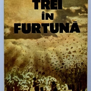 Virgil Bostanaru - Trei in furtuna