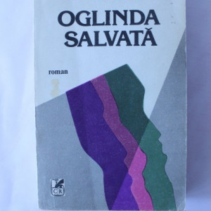 Virgil Duda - Oglinda salvata