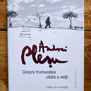 Andrei Plesu - Despre frumusetea uitata a vietii (editie hardcover)