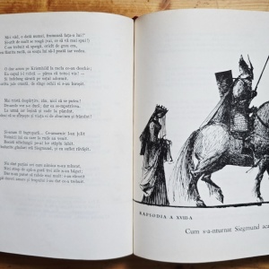 Cantecul Nibelungilor (talmacire de Virgil Tempeanu) (editie hardcover) - Img 5