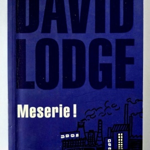 David Lodge - Meserie!