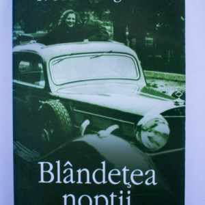 F. Scott Fitzgerald - Blandetea noptii