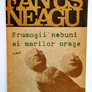 Fanus Neagu - Frumosii nebuni ai marilor orase